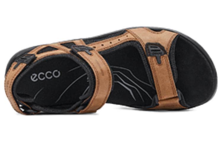 ecco - изображение 3