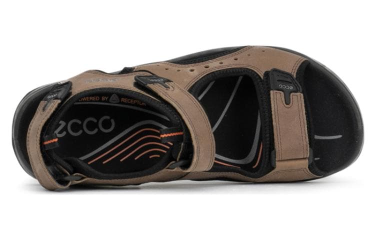 ecco - изображение 4