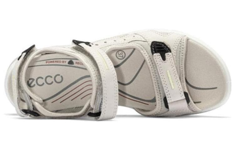 ecco - изображение 4