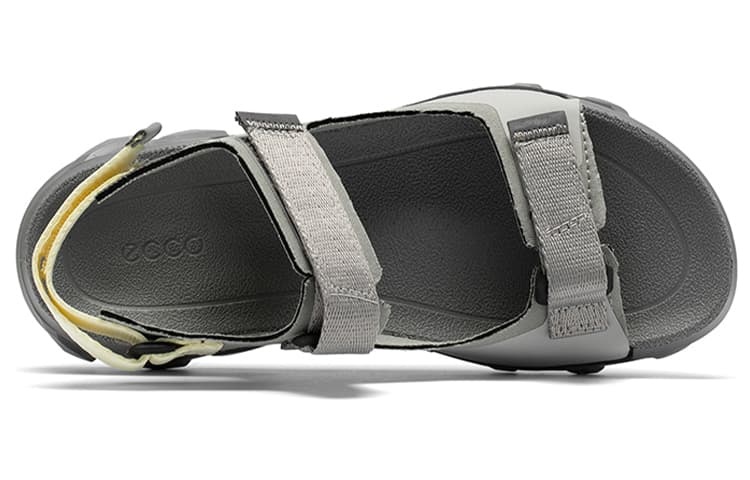 ecco - изображение 4