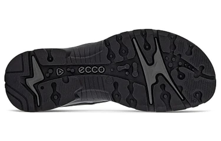 ecco - изображение 4