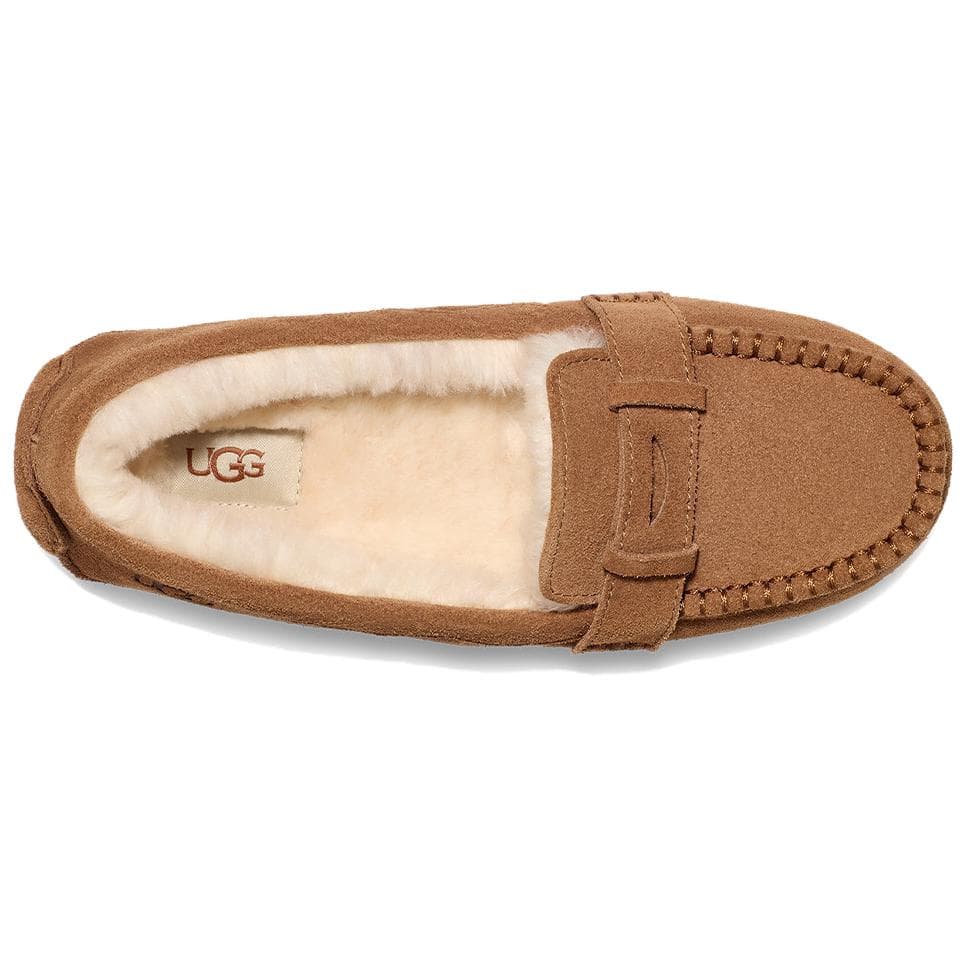 Тапочки UGG Коровья кожа Повседневная обувь Женская Каштановый - изображение 5