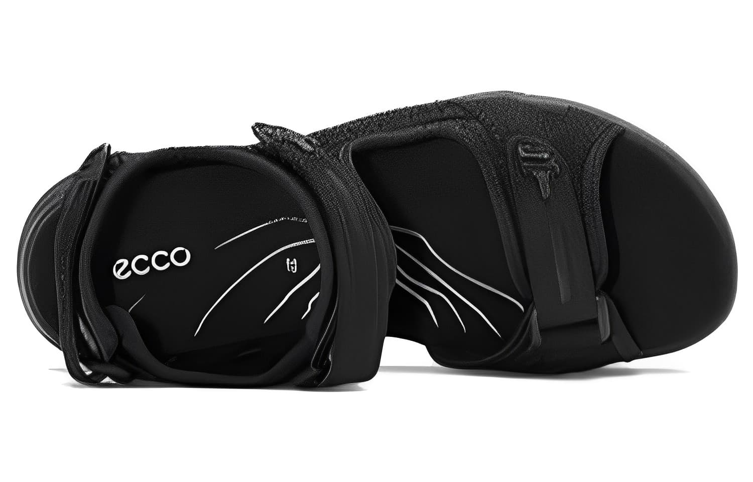 ecco - изображение 3