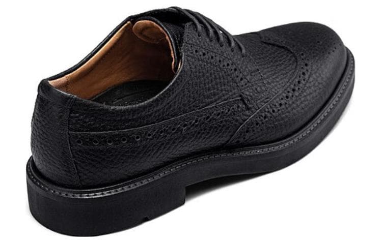ecco - изображение 3