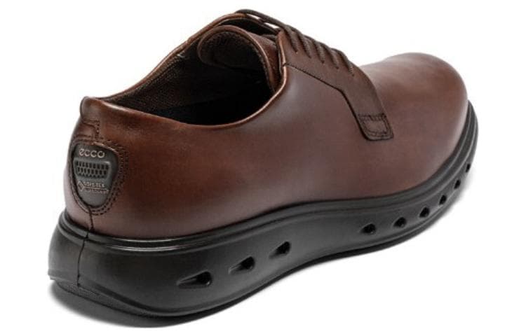 ecco - изображение 5