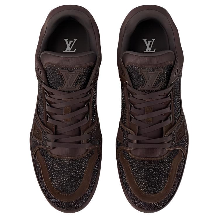 Кроссовки LOUIS VUITTON Trainer Brown - изображение 4