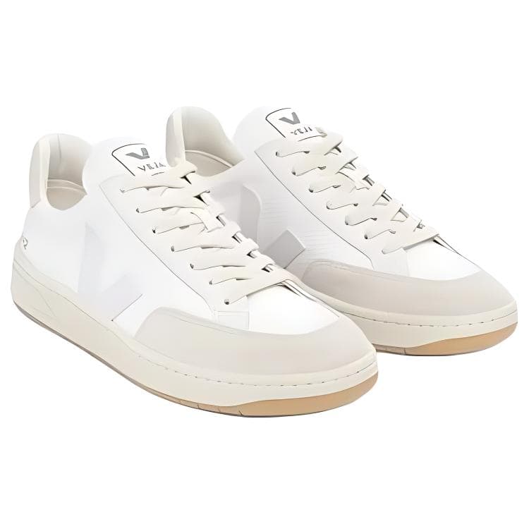 VEJA V-12 - изображение 5