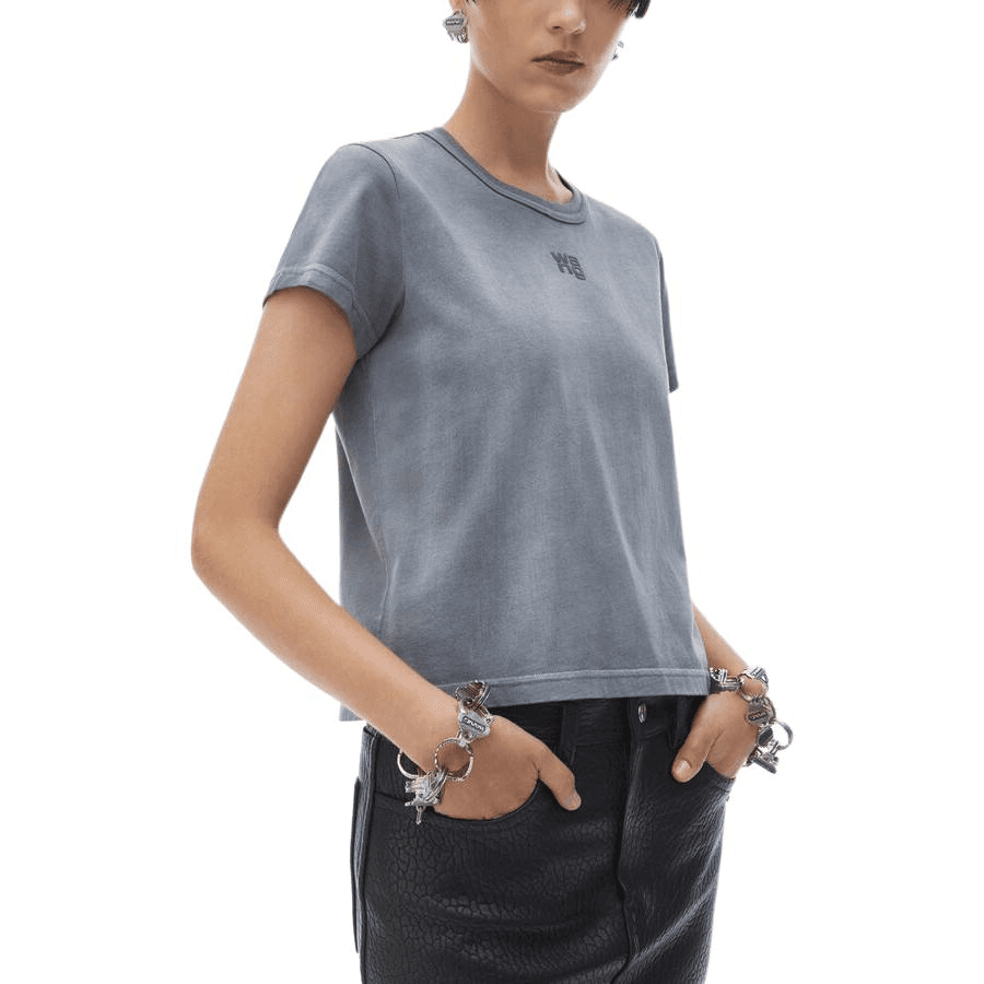 Футболка Alexander Wang FW24 Asphalt - изображение 2