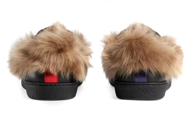Кроссовки Gucci Ace - изображение 5