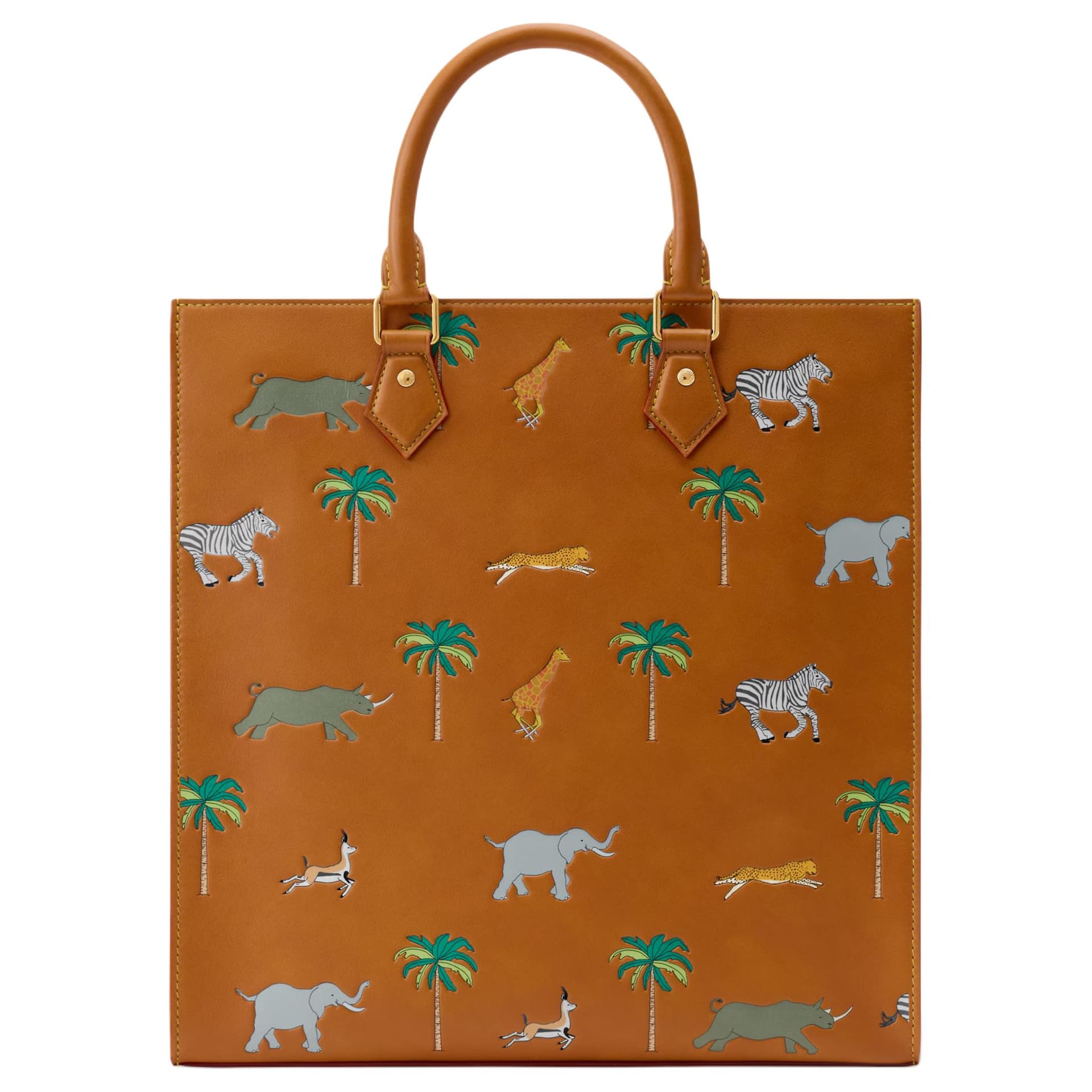Сумка LOUIS VUITTON x THE DARJELING LIMITED Sac Plat Tote - изображение 2