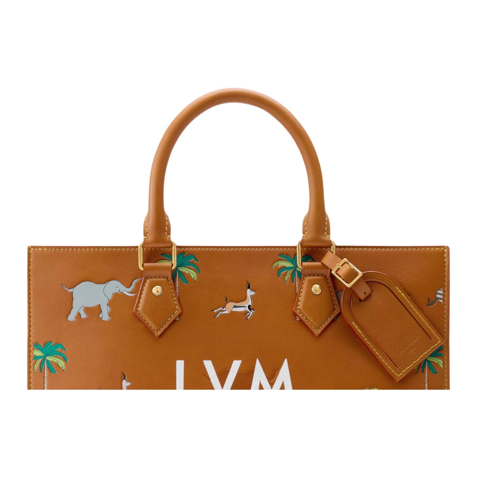 Сумка LOUIS VUITTON x THE DARJELING LIMITED Sac Plat Tote - изображение 4