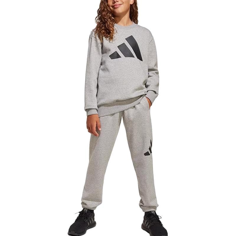 Adidas Комплект (серый) Kids Повседневные спортивные костюмы Наборы - изображение 1