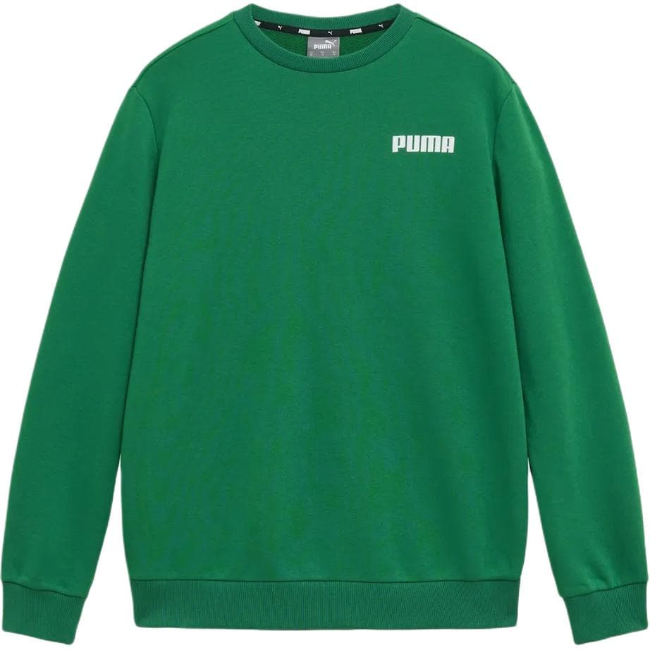 Худи PUMA Зеленый Мужской Толстовка - изображение 1