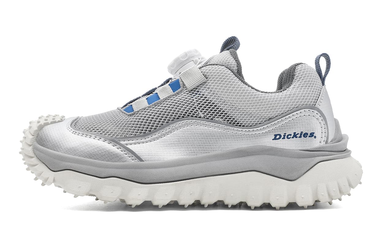 Кроссовки Dickies Низкие кроссовки для бега Серебристо-серый Детский - изображение 1