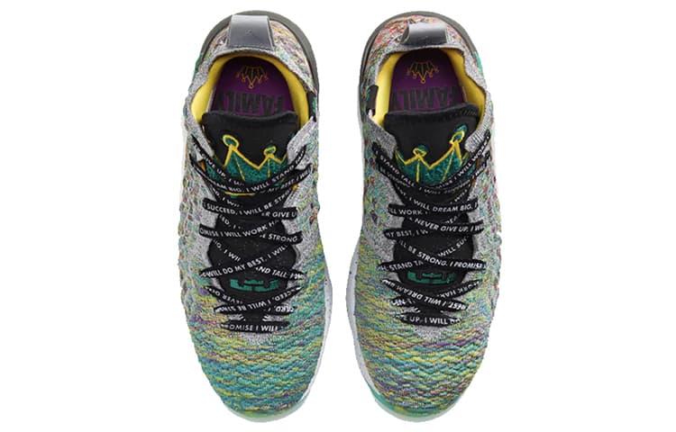 Кроссовки для баскетбола Nike Lebron 17 I Promise - изображение 4