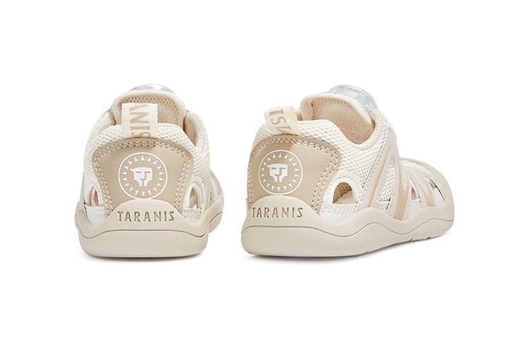TARANIS - изображение 4