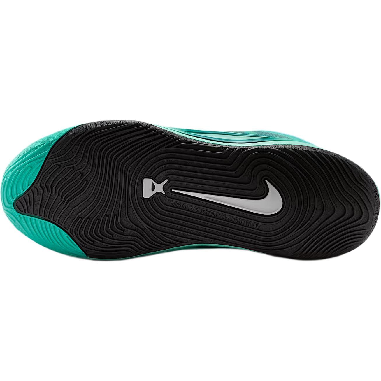 Кроссовки для баскетбола Nike A'One Low Баскетбольные кроссовки Топ Зеленый Серебристый Унисекс - изображение 5