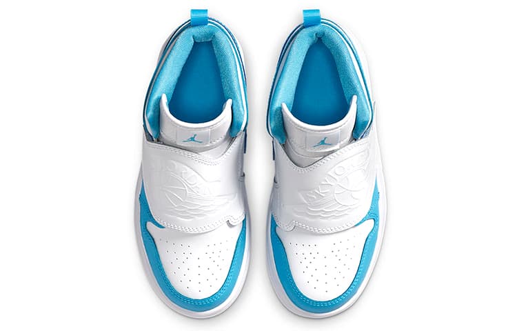 Кроссовки для баскетбола Jordan Air Jordan 1 Sky - изображение 5