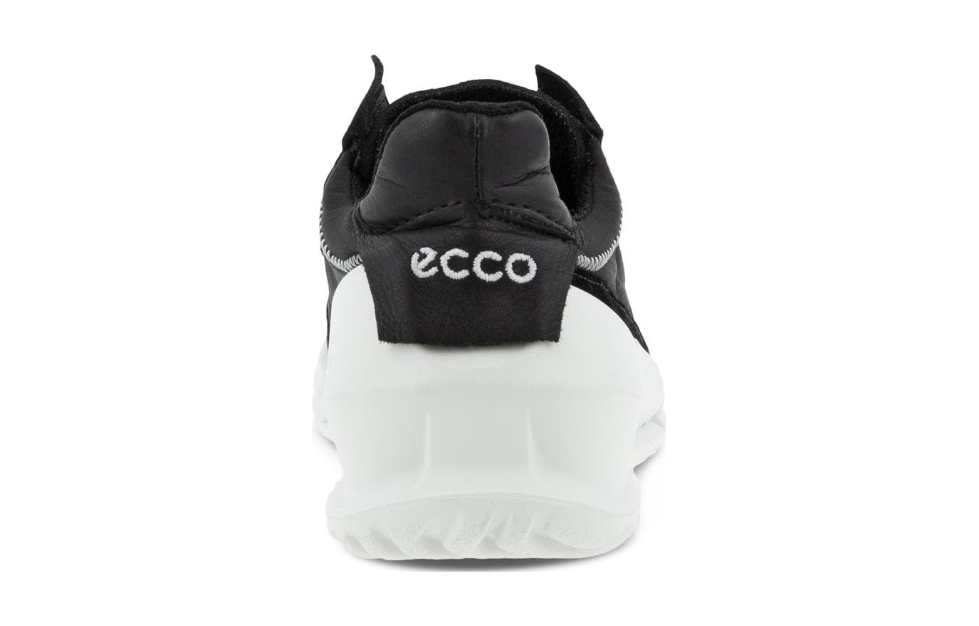 ecco - изображение 5
