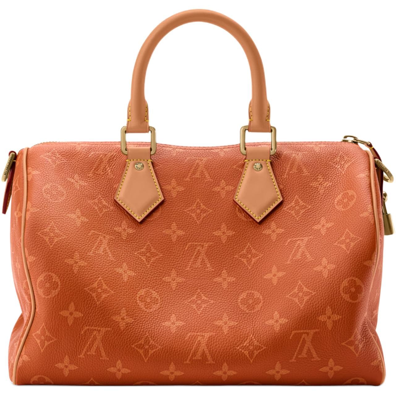 Сумка LOUIS VUITTON Speedy P9 BANDOULIRE 30 - изображение 4