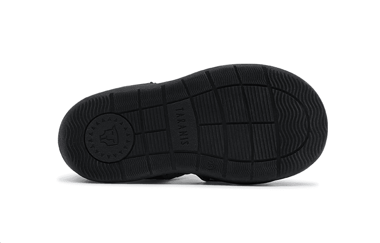 TARANIS - изображение 4
