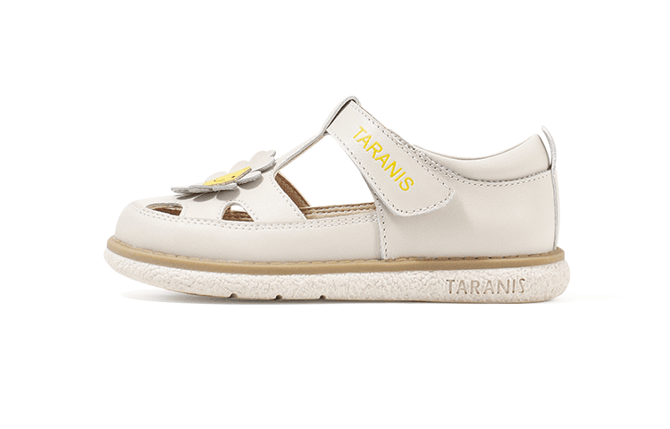TARANIS - изображение 1