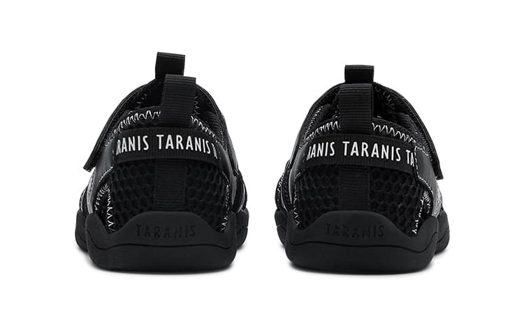 TARANIS - изображение 3
