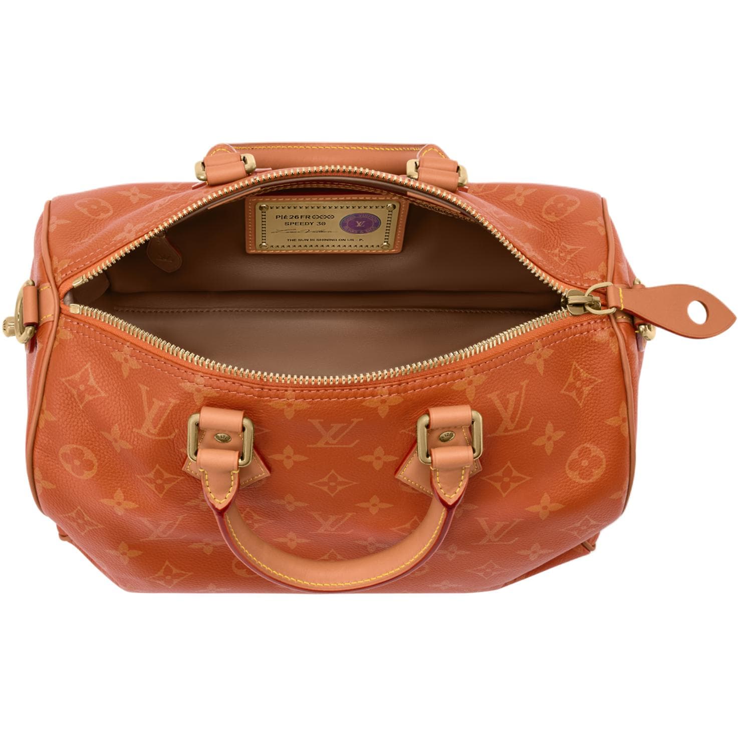 Сумка LOUIS VUITTON Speedy P9 BANDOULIRE 30 - изображение 5