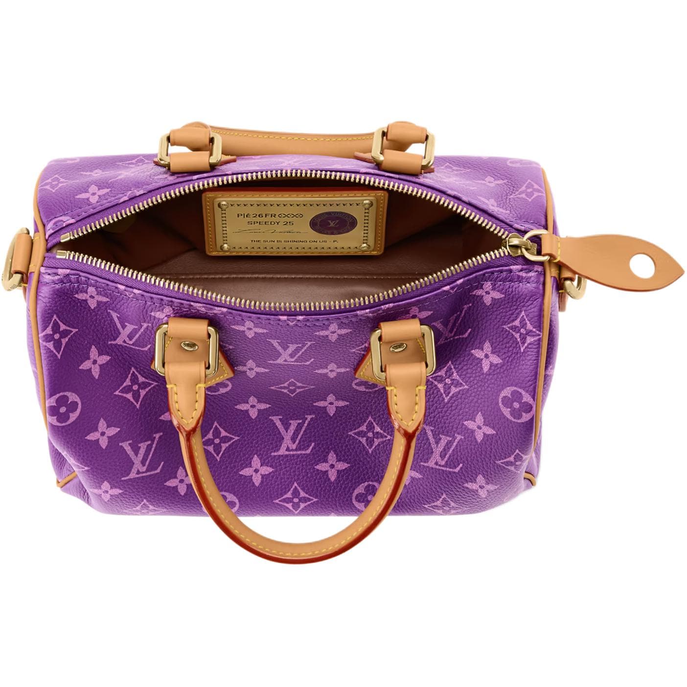 Сумка LOUIS VUITTON Speedy P9 BANDOULIRE 25 - изображение 5