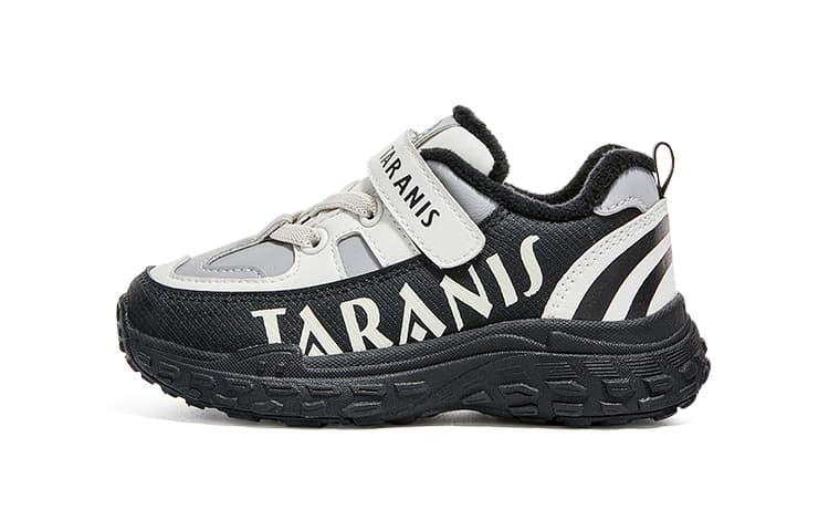 TARANIS - изображение 1