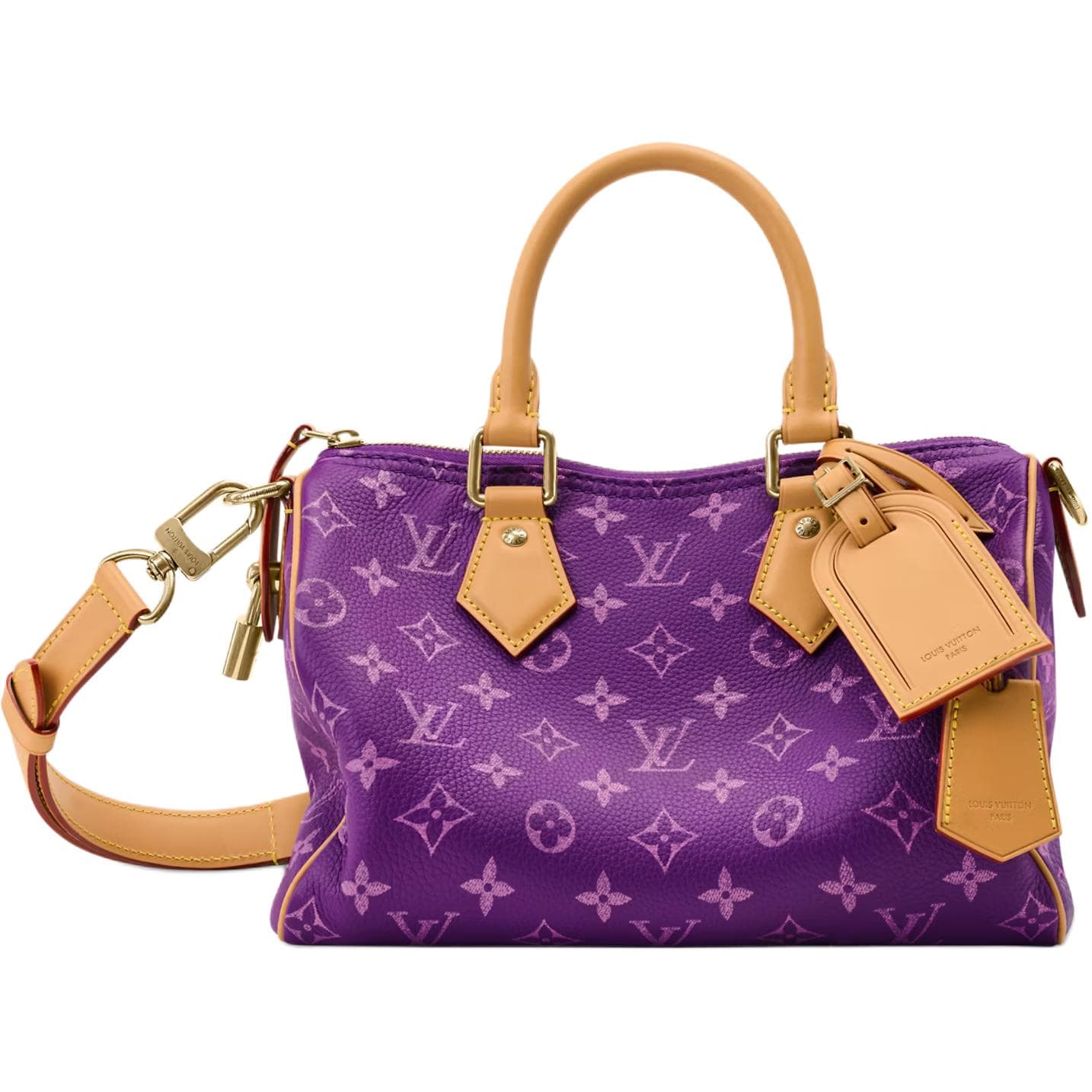 Сумка LOUIS VUITTON Speedy P9 BANDOULIRE 25 - изображение 1