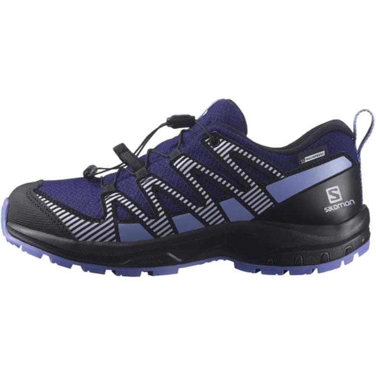 SALOMON XA Pro V8 - изображение 1
