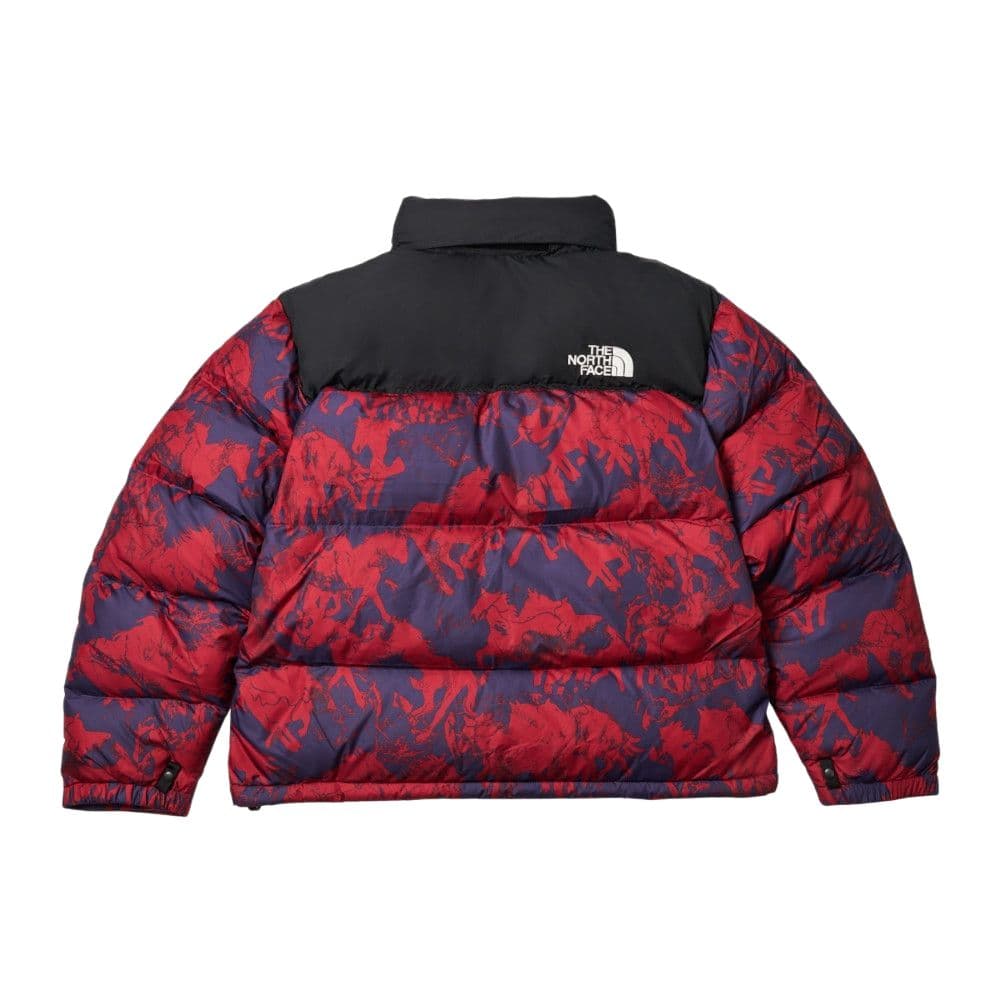 Зимняя куртка THE NORTH FACE Nuptse FW25 ICON 96 700 - изображение 2