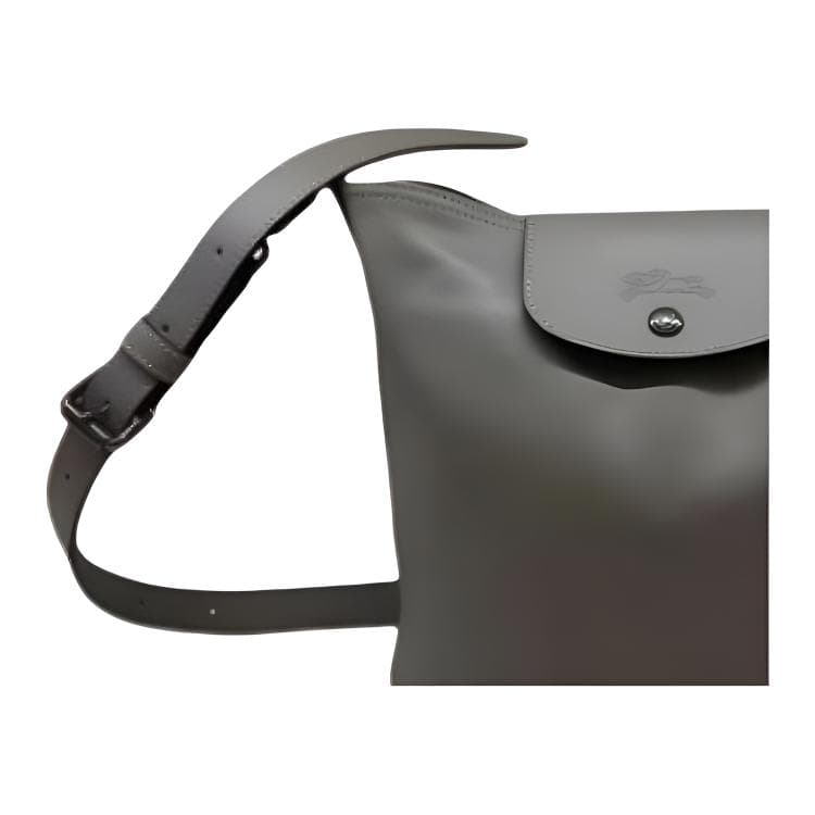 Мини-сумка LONGCHAMP Le Pliage Xtra Logo - изображение 2