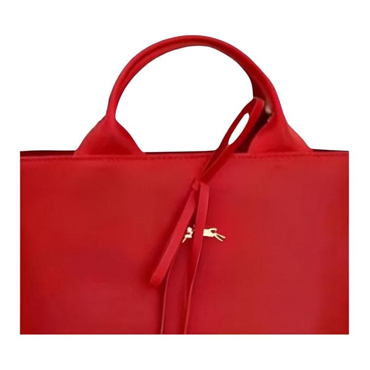 Сумка LONGCHAMP Le Roseau - изображение 2