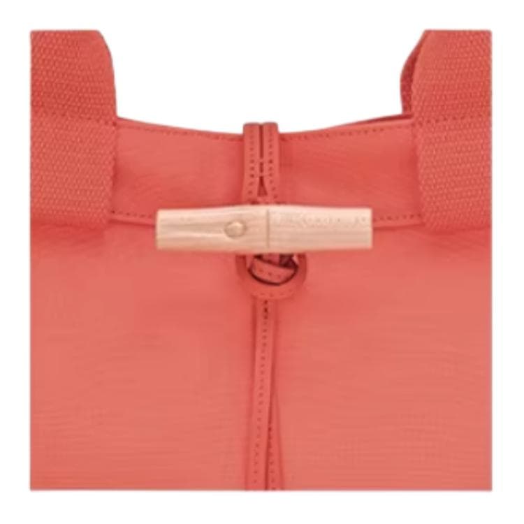 Мини-сумка LONGCHAMP Le Roseau Tote - изображение 5