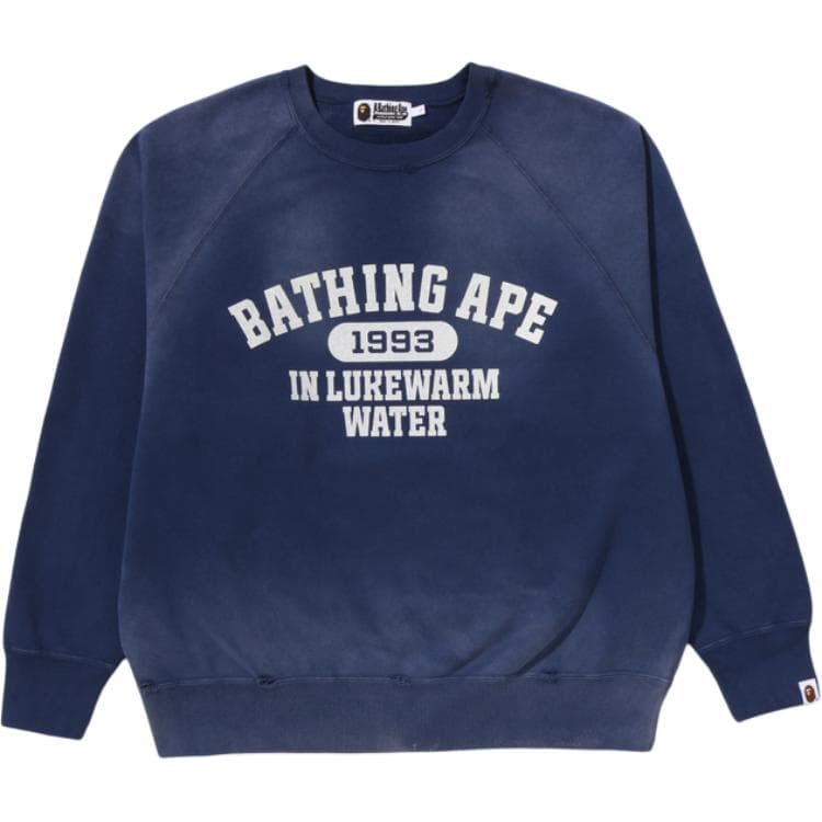 Худи BAPE SS26 - изображение 1