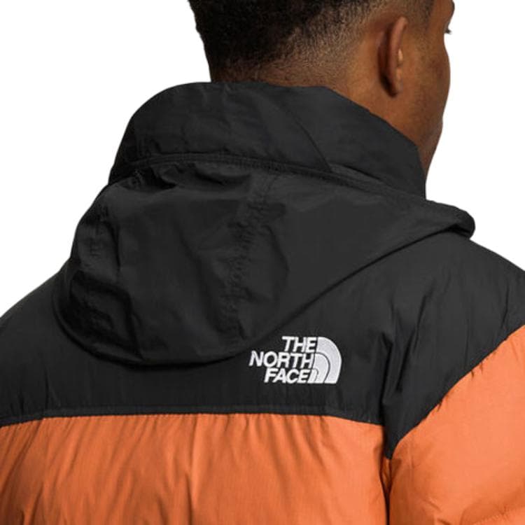 Зимняя куртка THE NORTH FACE FW22 1996 Nuptse Logo700 - изображение 2