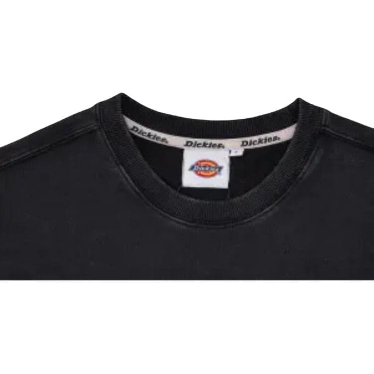 Худи Dickies Толстовка черный DK0A87FTBLK унисекс - изображение 3