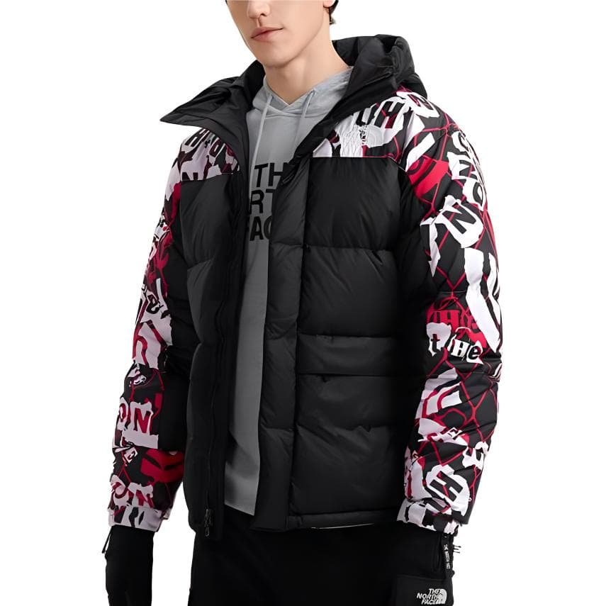 Зимняя куртка The North Face - изображение 4