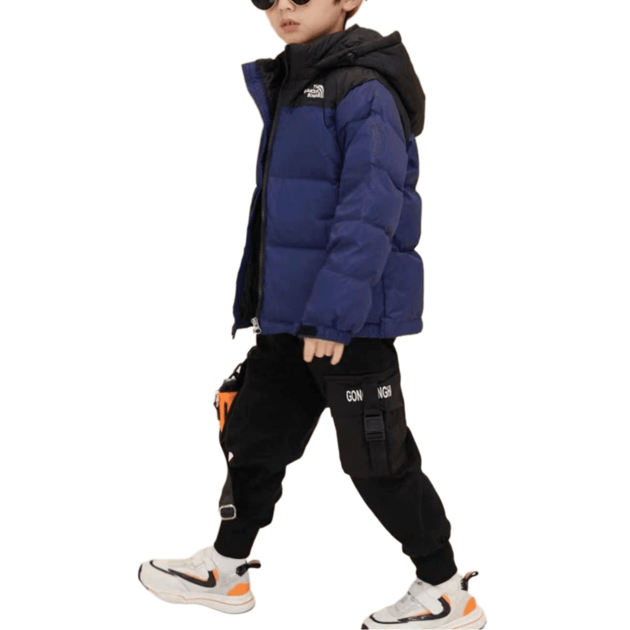 THE NORTH FACE Logo - изображение 3
