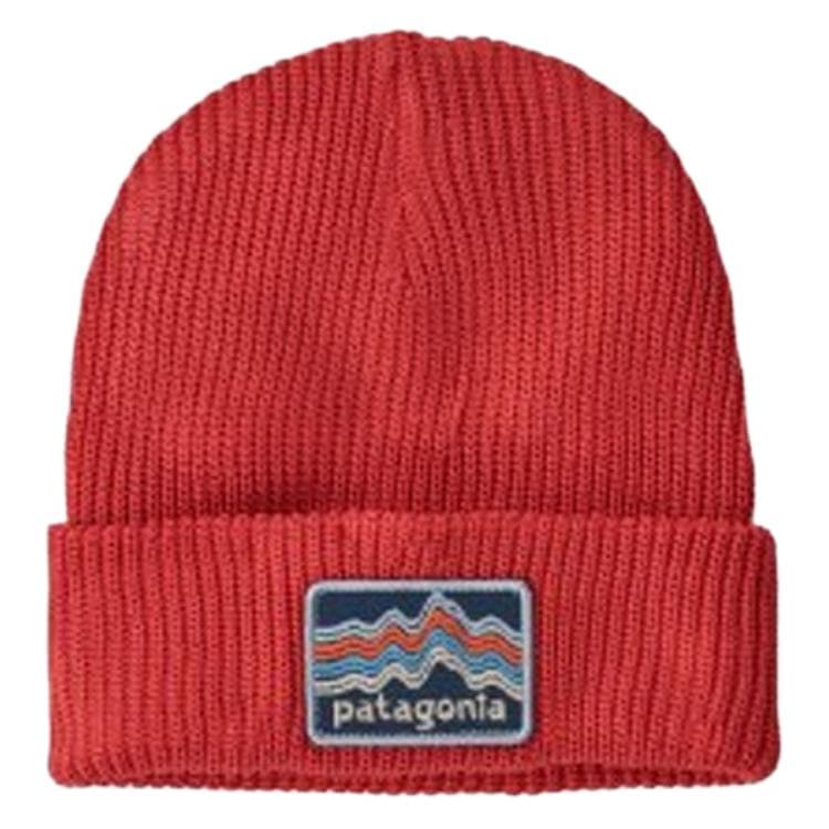Шапка patagonia Logo - изображение 1