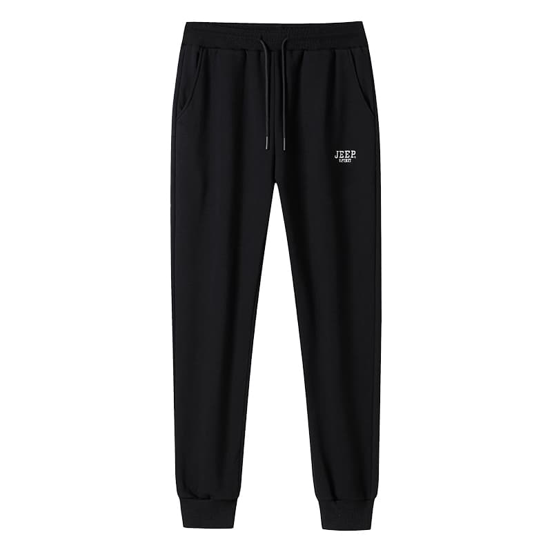 Штаны JEEP SPIRIT Leisure Collection Трикотажная ткань Спортивные брюки Мужской - изображение 1