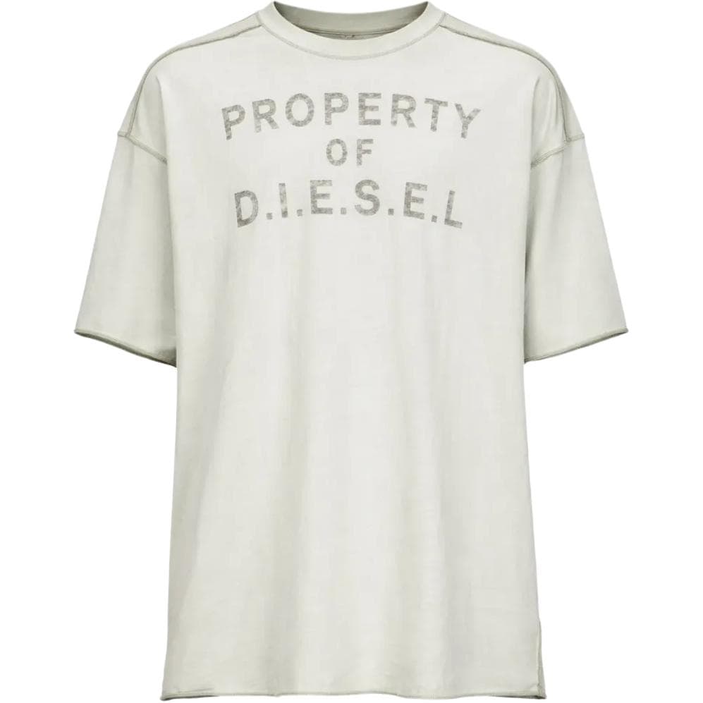 Футболка DIESEL Светло-серые Мужские T-рубашки - изображение 1