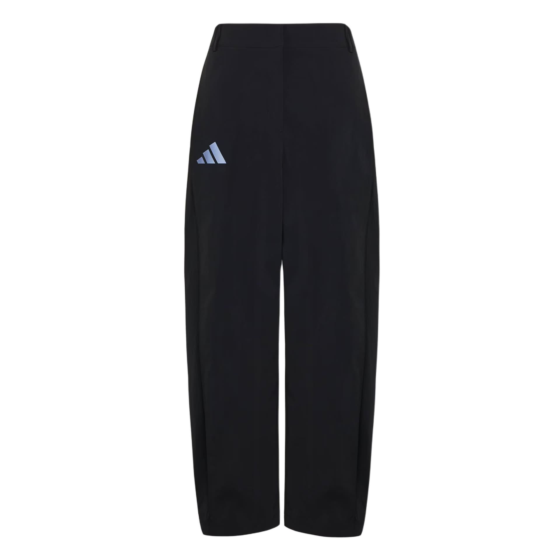Штаны adidas Terrex XPLORIC Брюки Повседневные Брюки Женские - изображение 1
