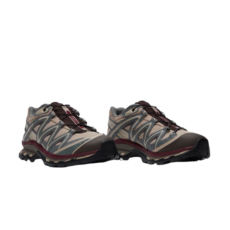 Кроссовки для бега Salomon XT-Quest GTX Brown Grey - изображение 2