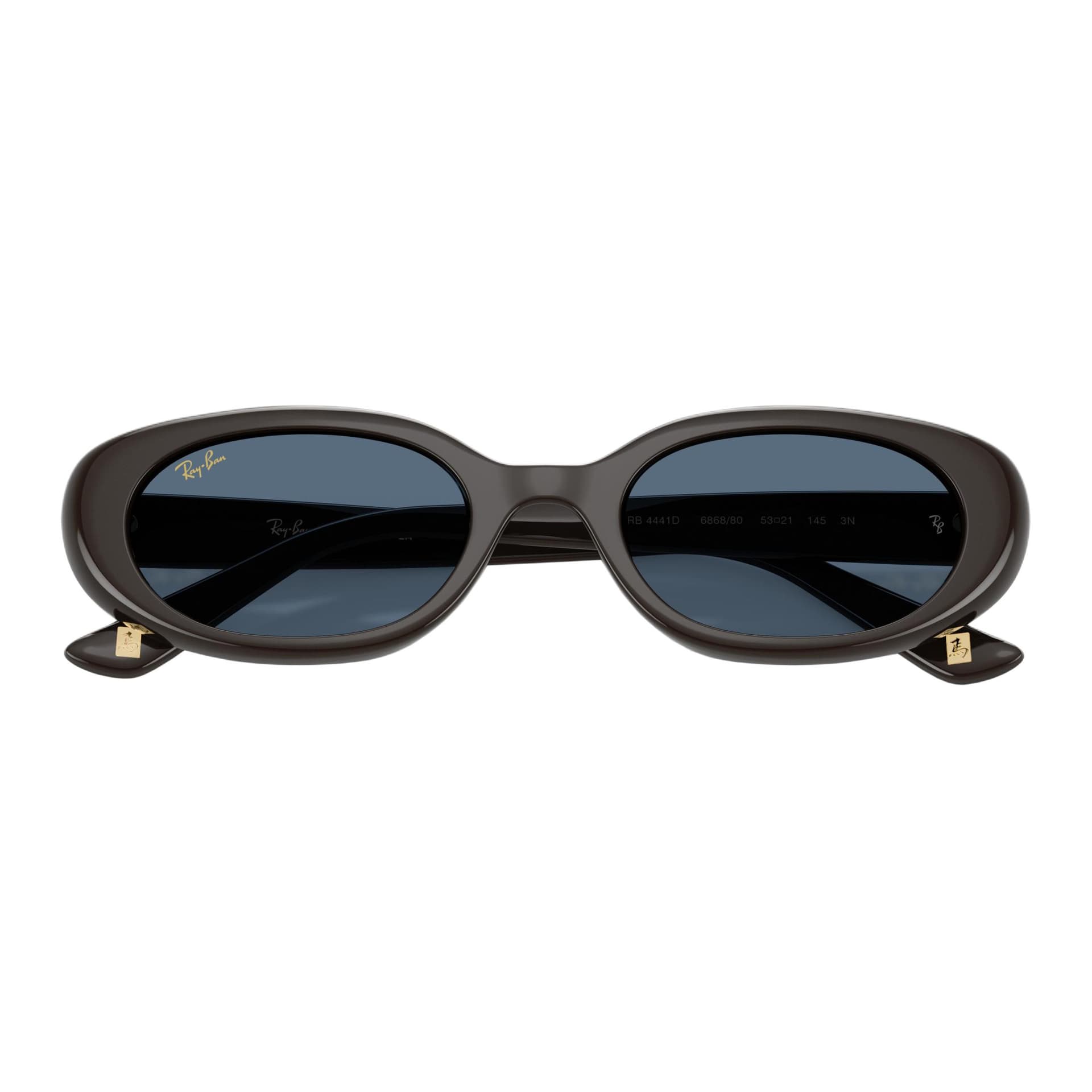 Солнцезащитные очки RayBan Инъекционный Литье ОВАЛЬНЫЕ Солнцезащитные Очки Унисекс Темно-Коричневый - изображение 5