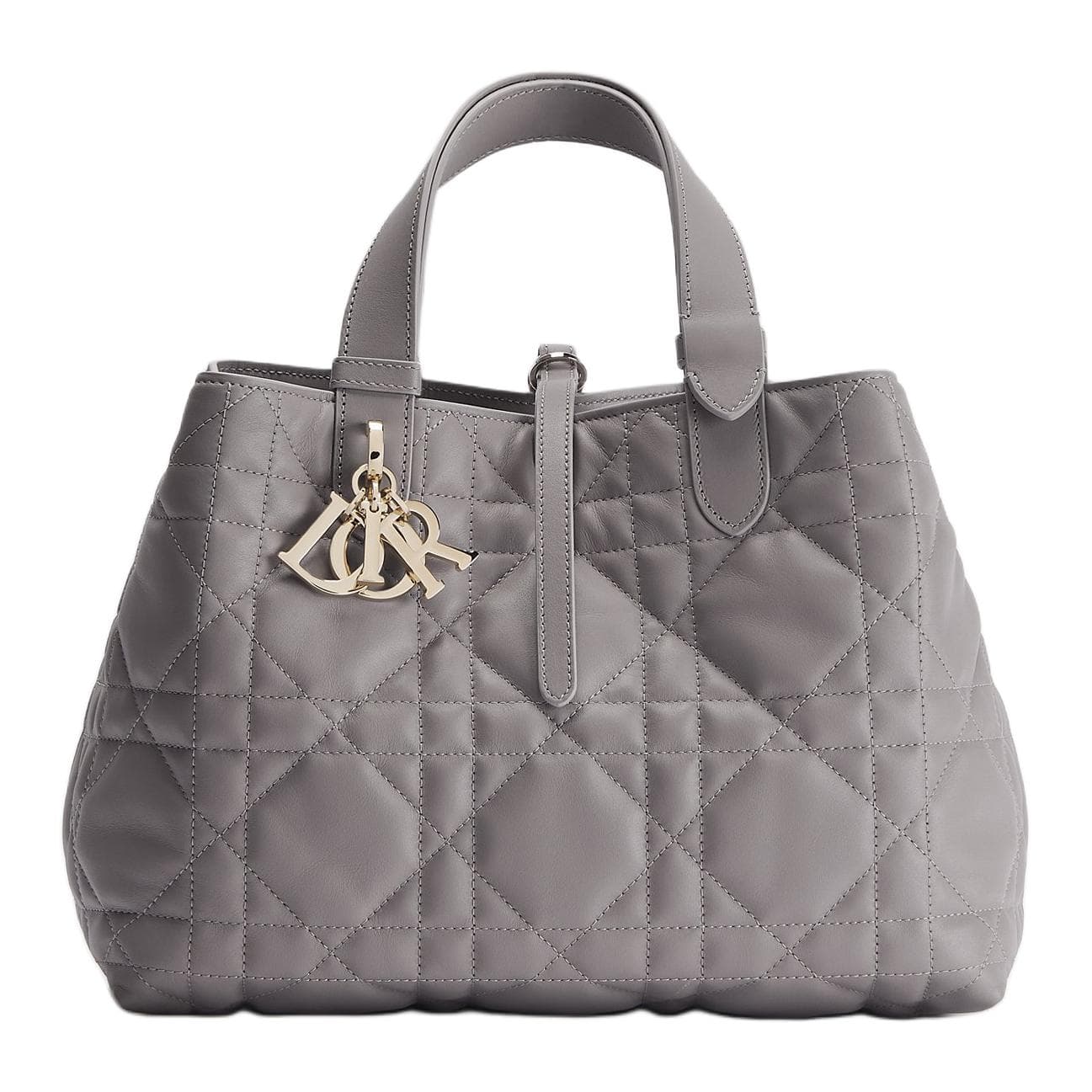 Сумка DIOR Toujours - изображение 1