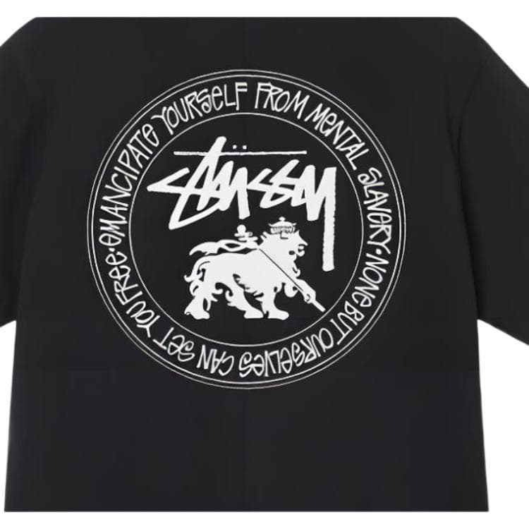 Футболка Stussy SS22 Lion dot pig Dyed tee T - изображение 3