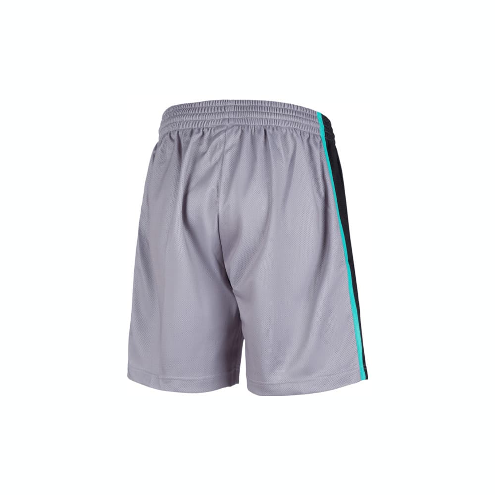 Баскетбольные шорты Mitchell Ness SW - изображение 2